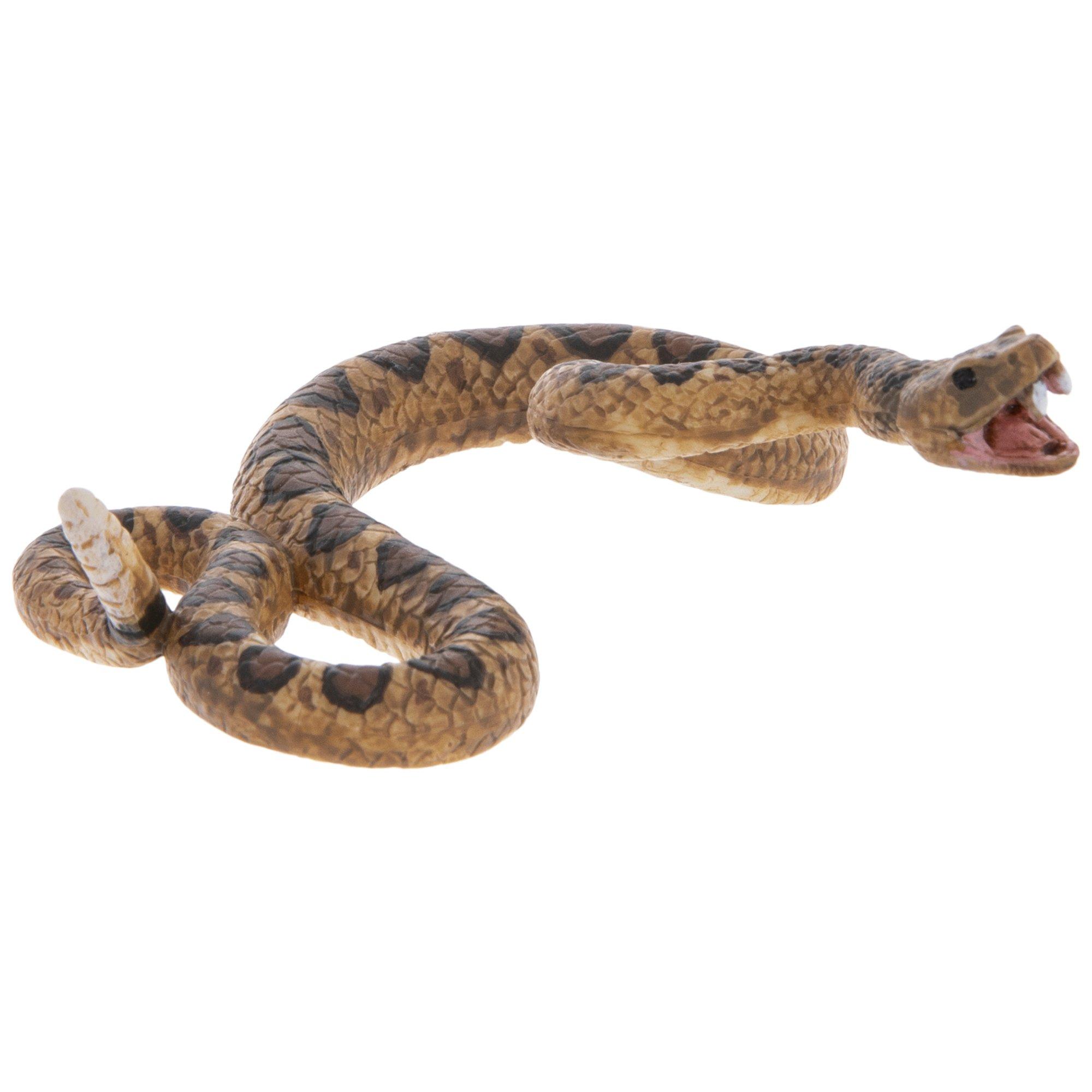 Mini Rattle Snakes