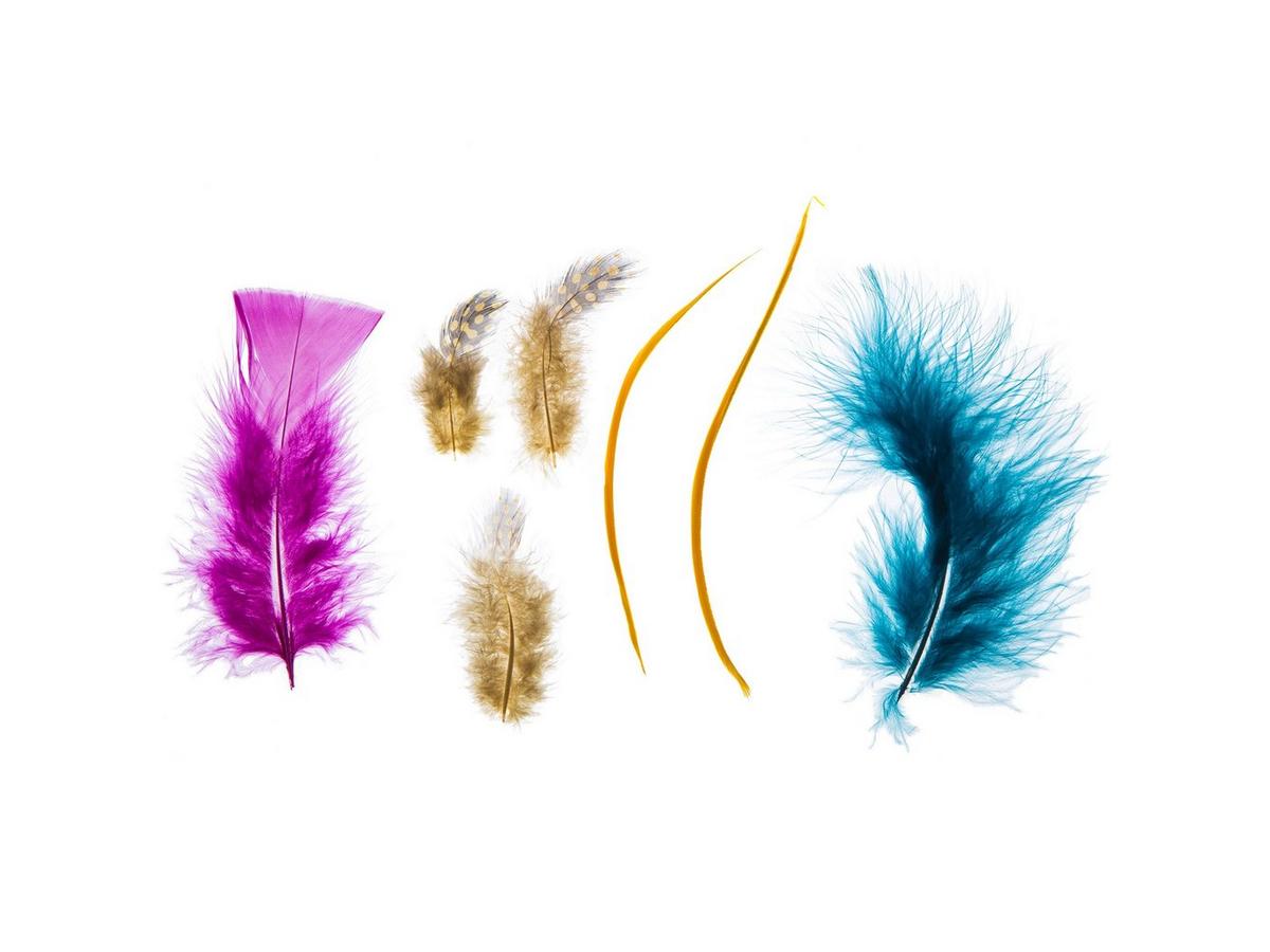 flowerlower320design Brown Feather allen + roth Feather Light Brown Framed 21-in H x 9-in W