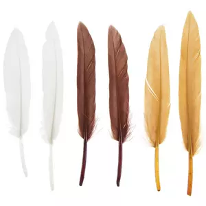 Gold Craft Feathers