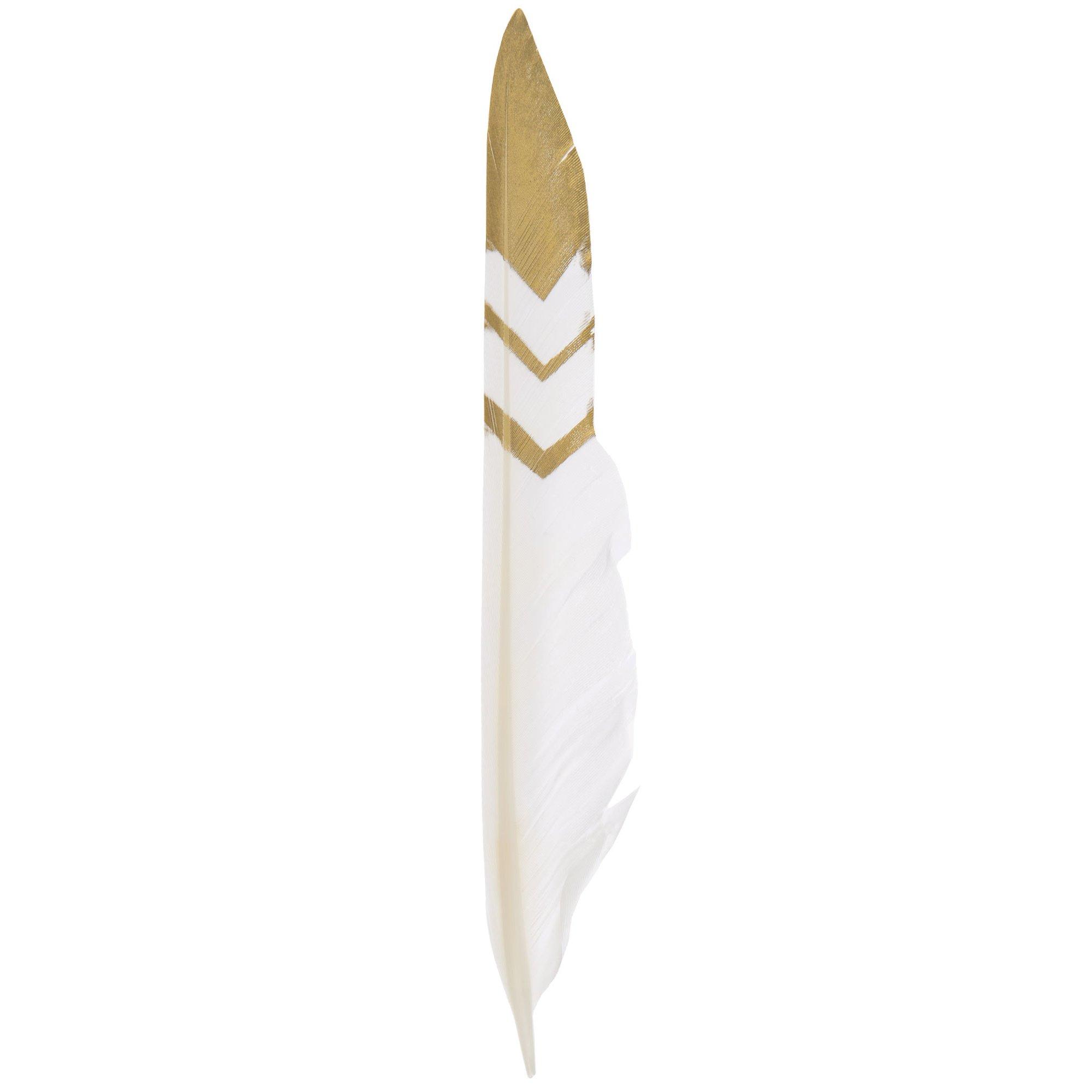 Fancy Pointer Feathers Hobby Lobby 1536986