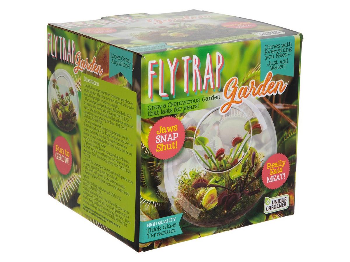 Venus Fly Trap Garden | Hobby Lobby | 1549013