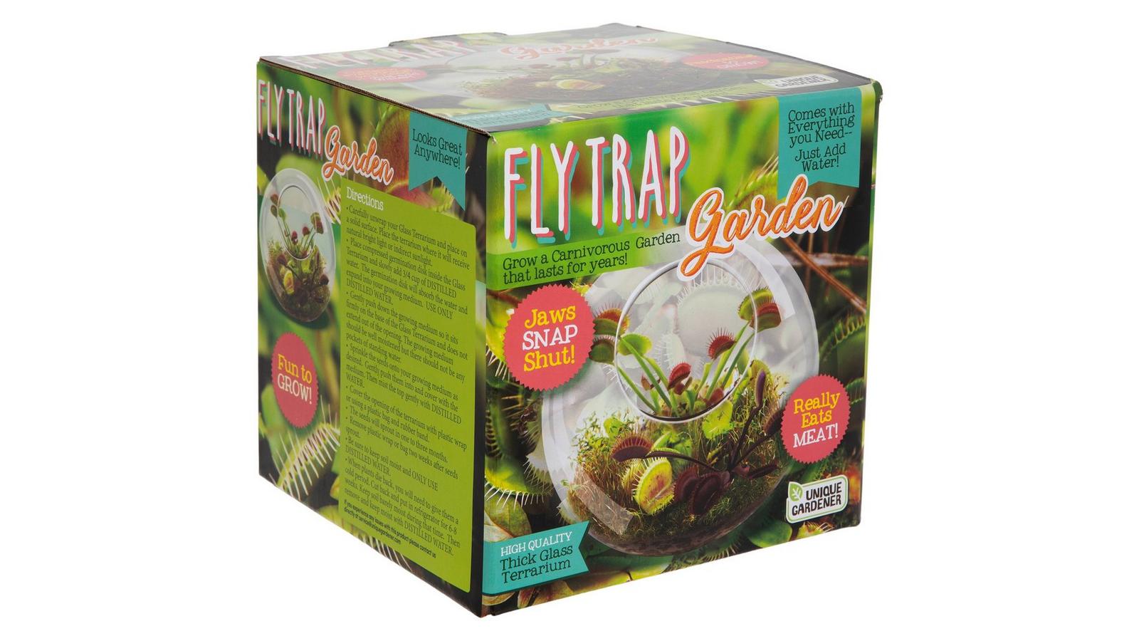 Venus Fly Trap Garden | Hobby Lobby | 1549013
