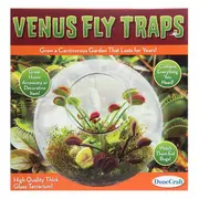 Venus Fly Traps Kit