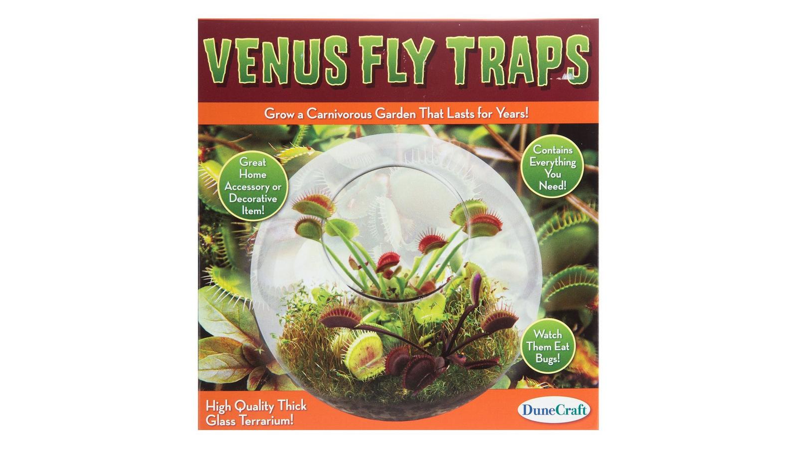 Venus Fly Traps Kit | Hobby Lobby | 1549013