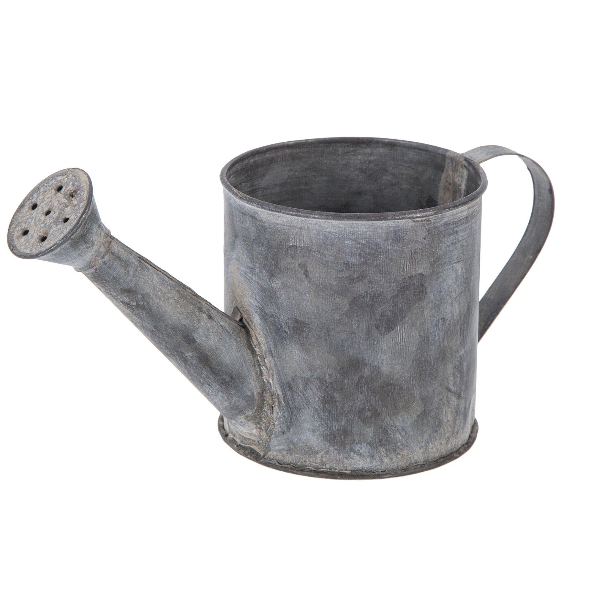 Galvanized Metal Watering Can Hobby Lobby 1550482
