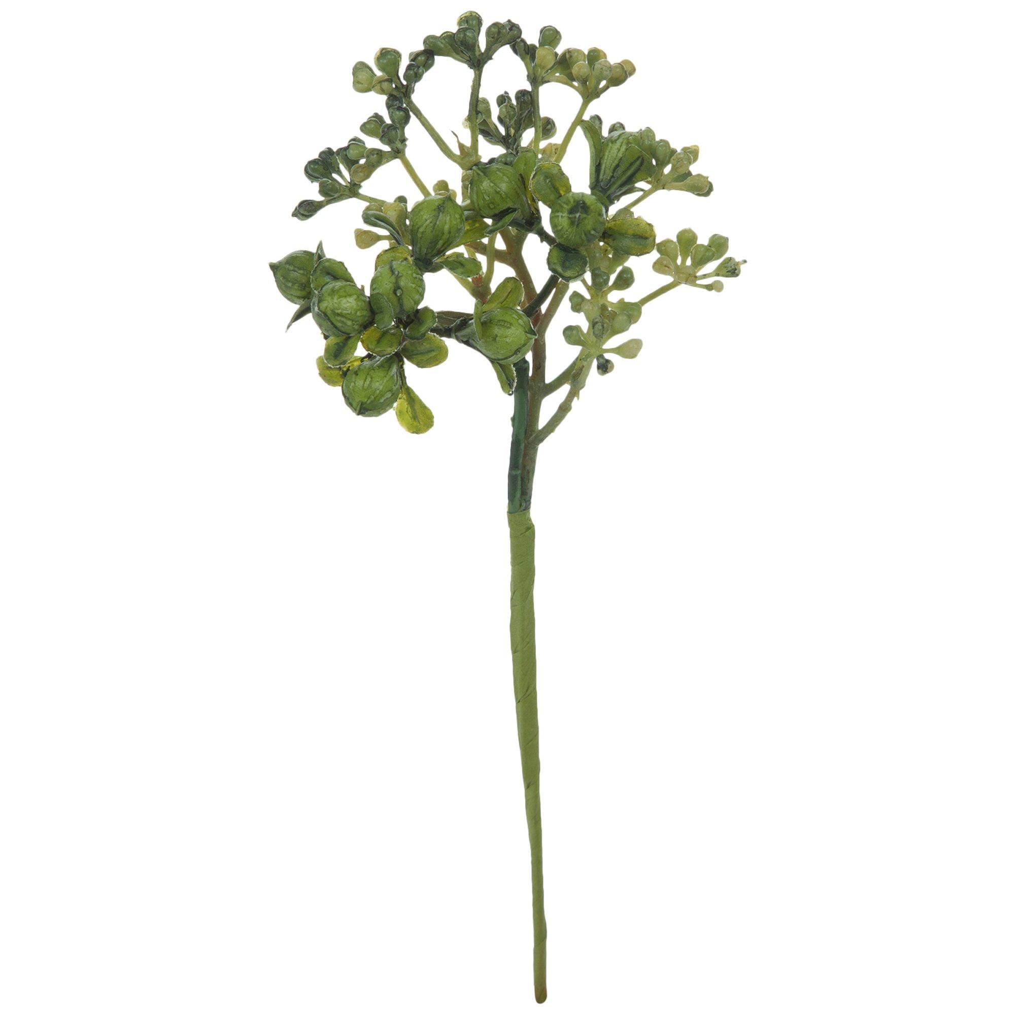 Hypericum Berry Pick | Hobby Lobby | 1562222