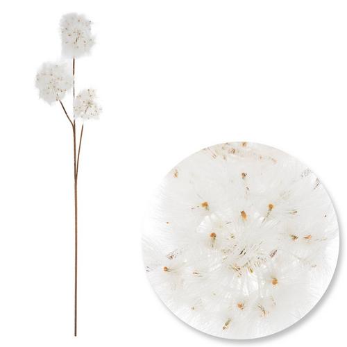 Dandelion Stem