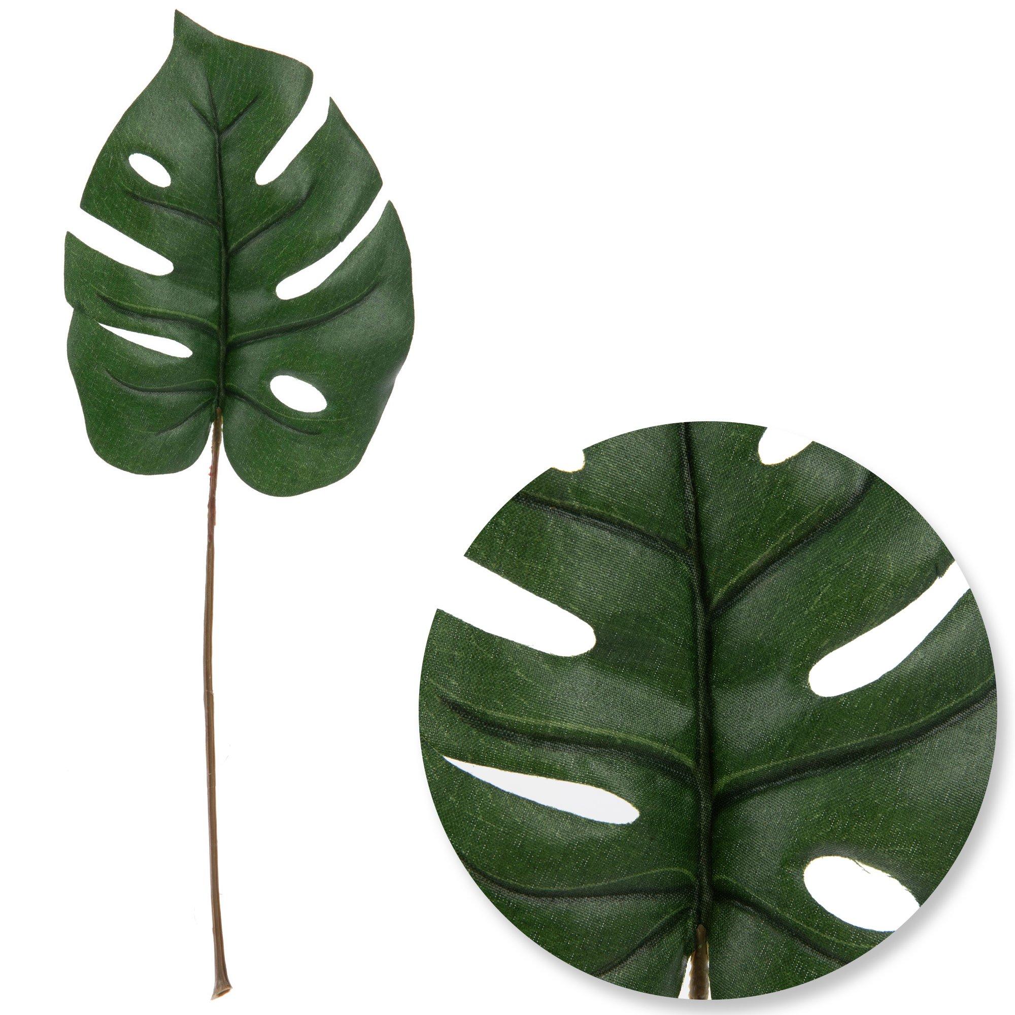 Selected Product Image