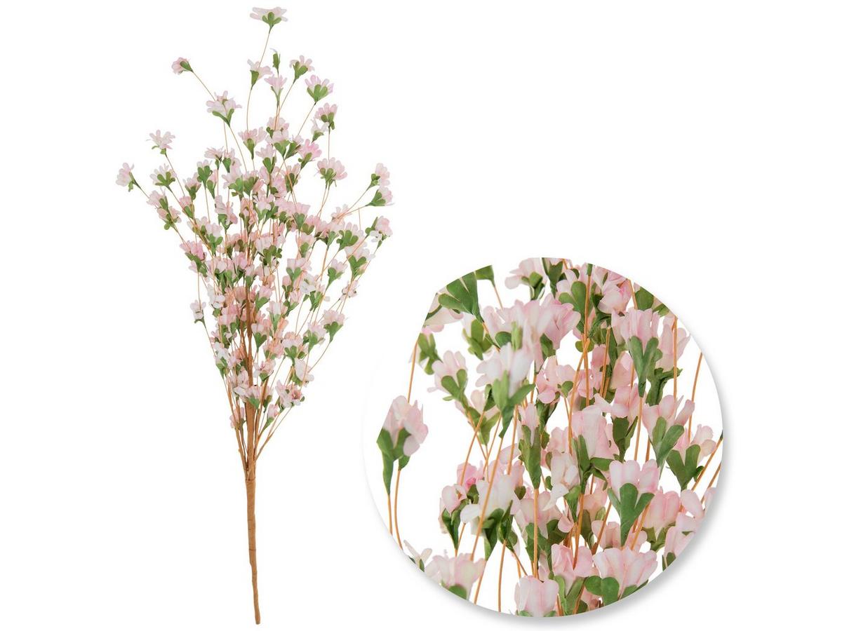 wild flower 1564657-80860531-04172025-