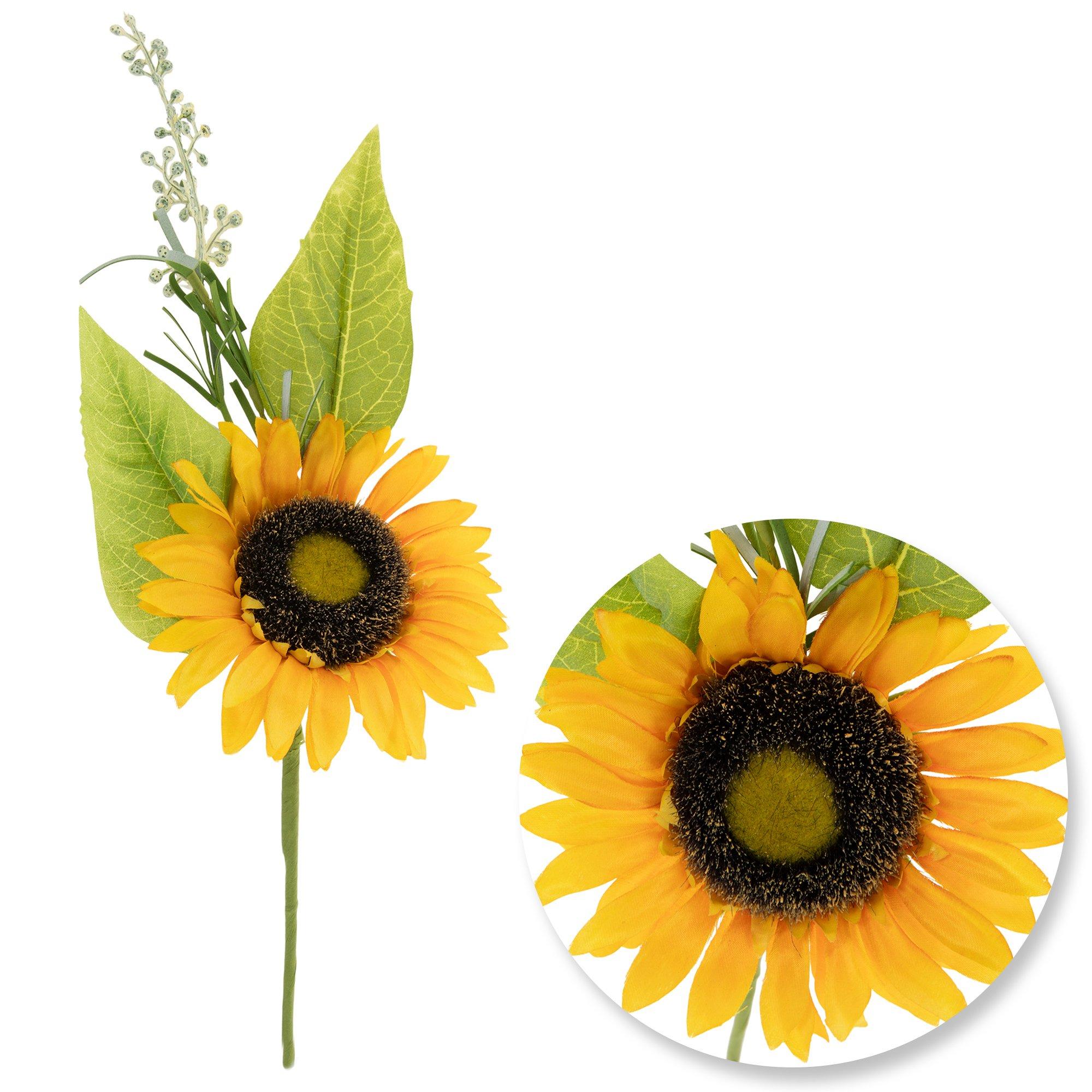 Selected Product Image