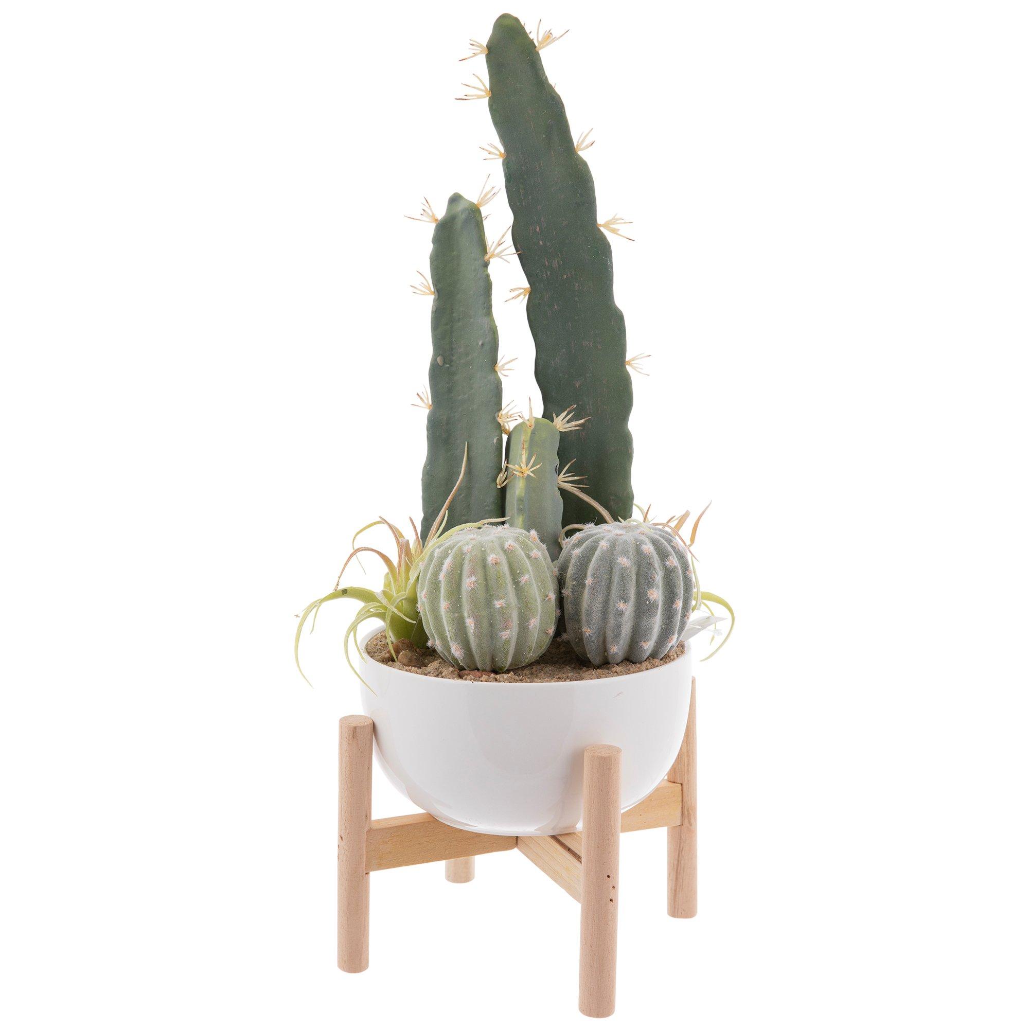 Assorted Cacti In White Pot Hobby Lobby 1565126
