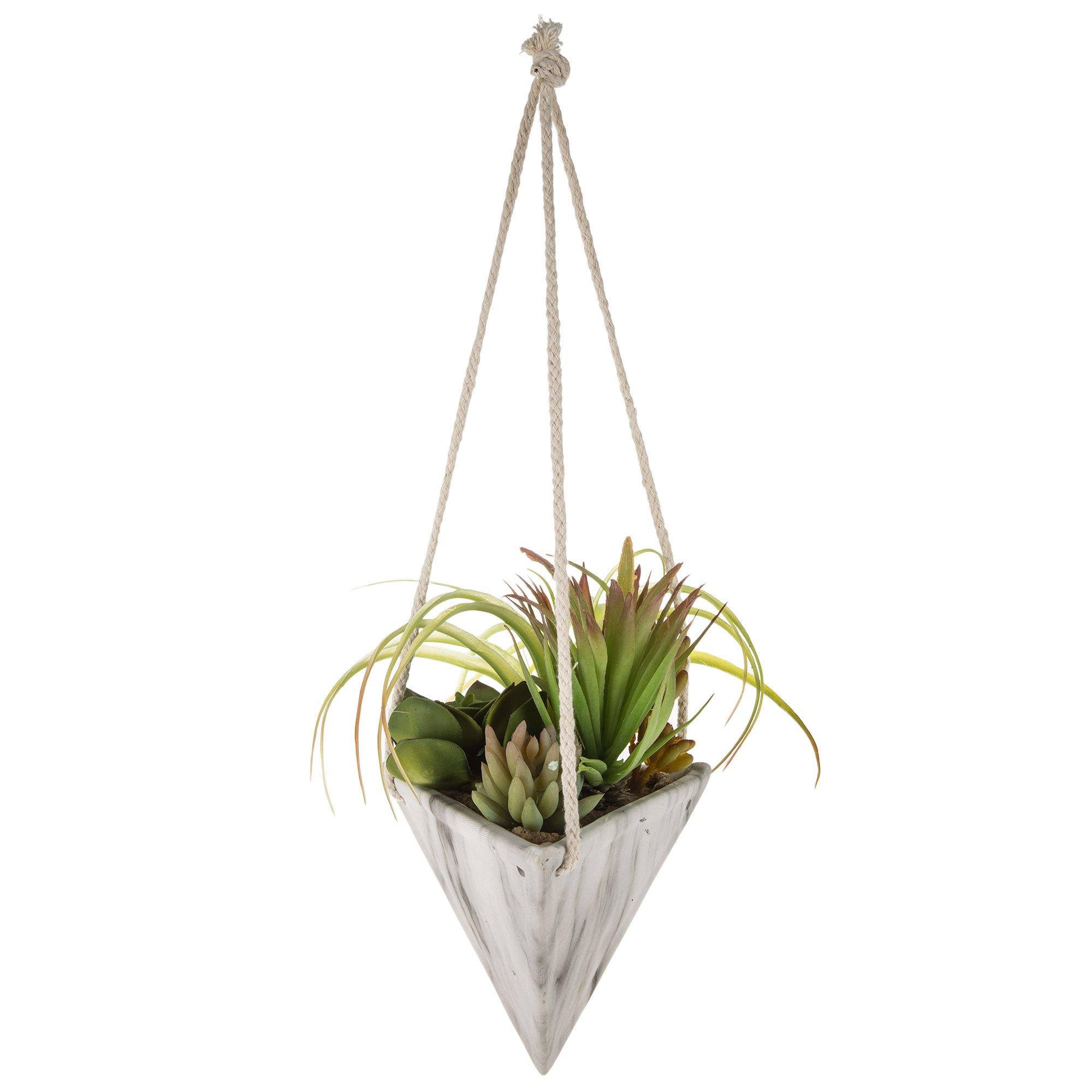 Air Plant In Mod Container, Hobby Lobby