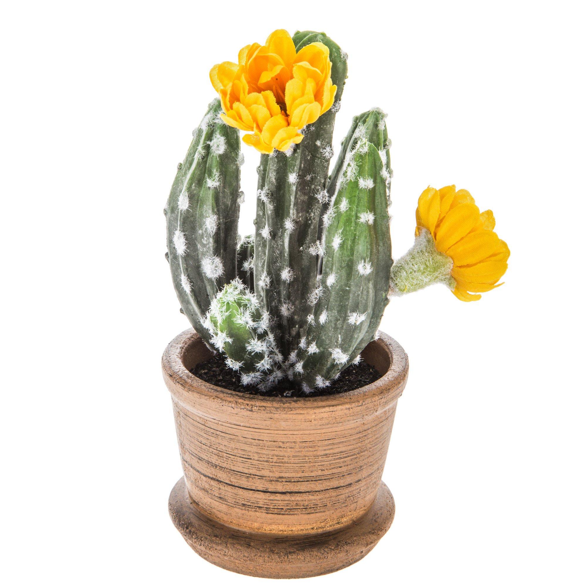 BLOOMING CACTUS JEWELRY HOLDER