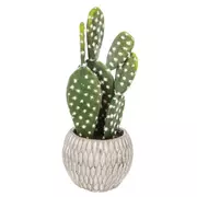 Prickly Pear Cactus in Gray Cement Pot