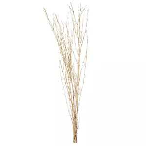 Birch Branches with Berries & White LED Lights, Hobby Lobby