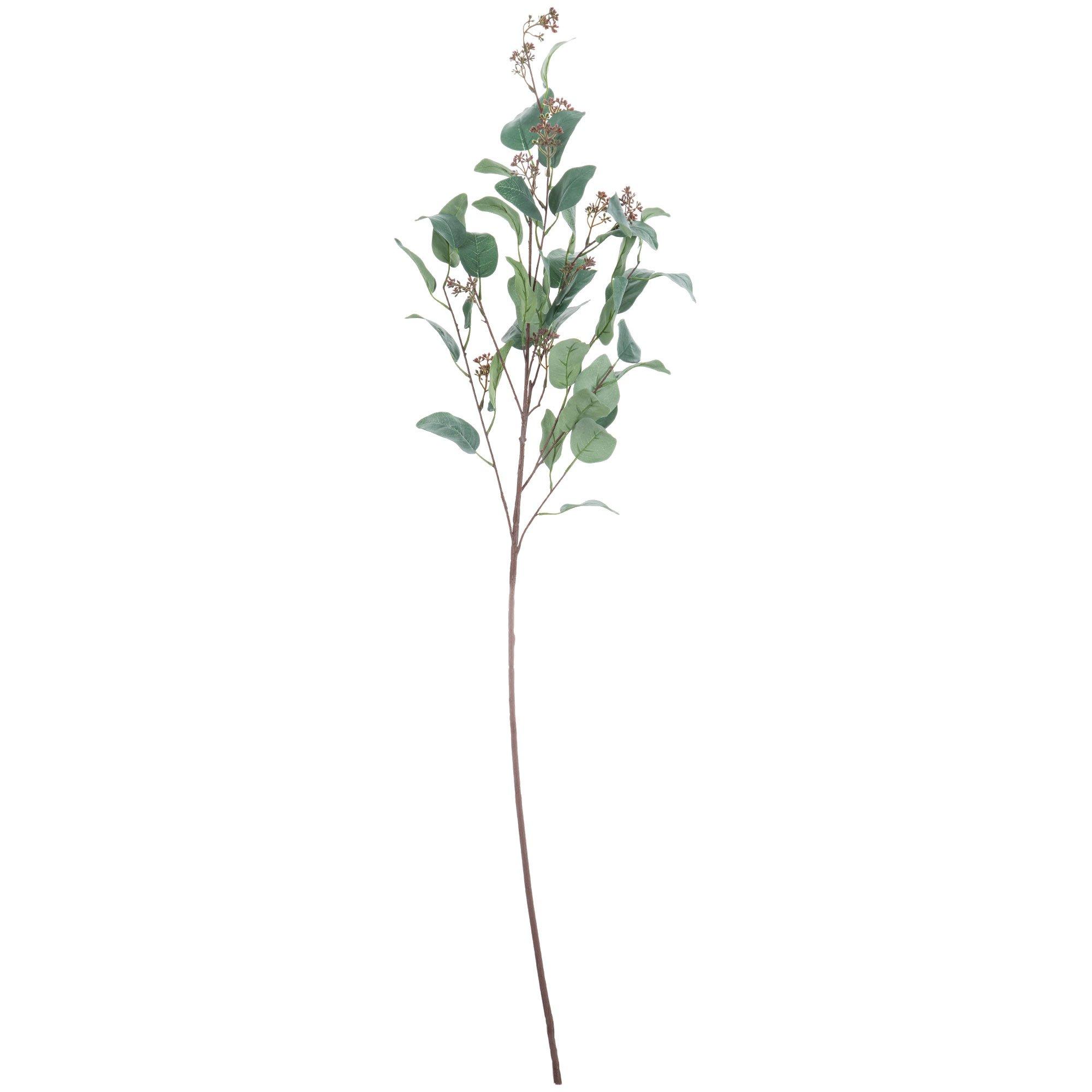 Eucalyptus Stem Hobby Lobby 1571918