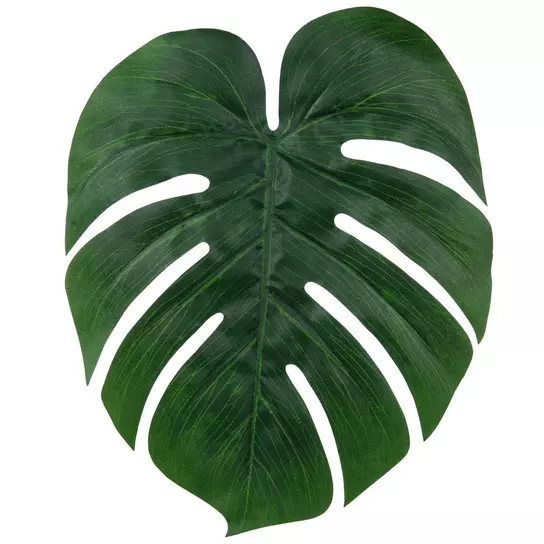 Palm Leaves | Hobby Lobby | 1587344