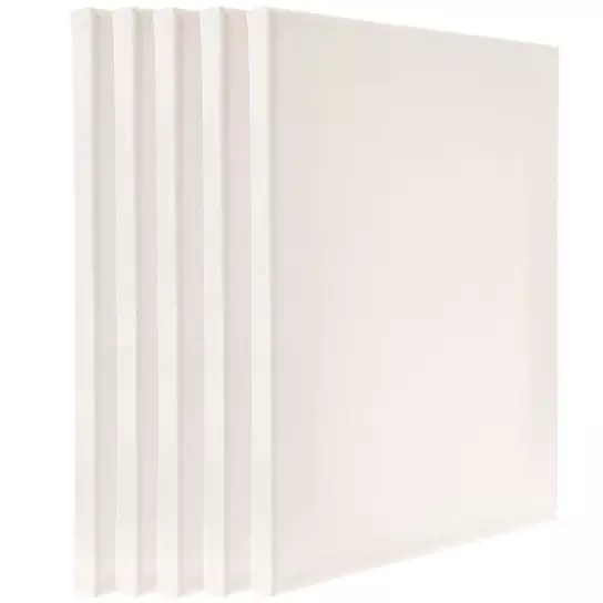 Pack of Assorted Sizes of Canvas