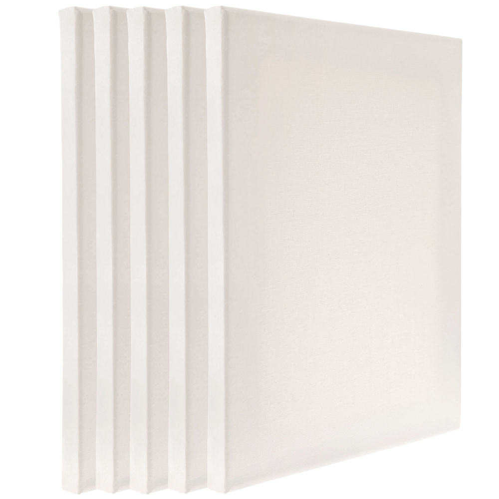 Super Value Blank Canvas Set