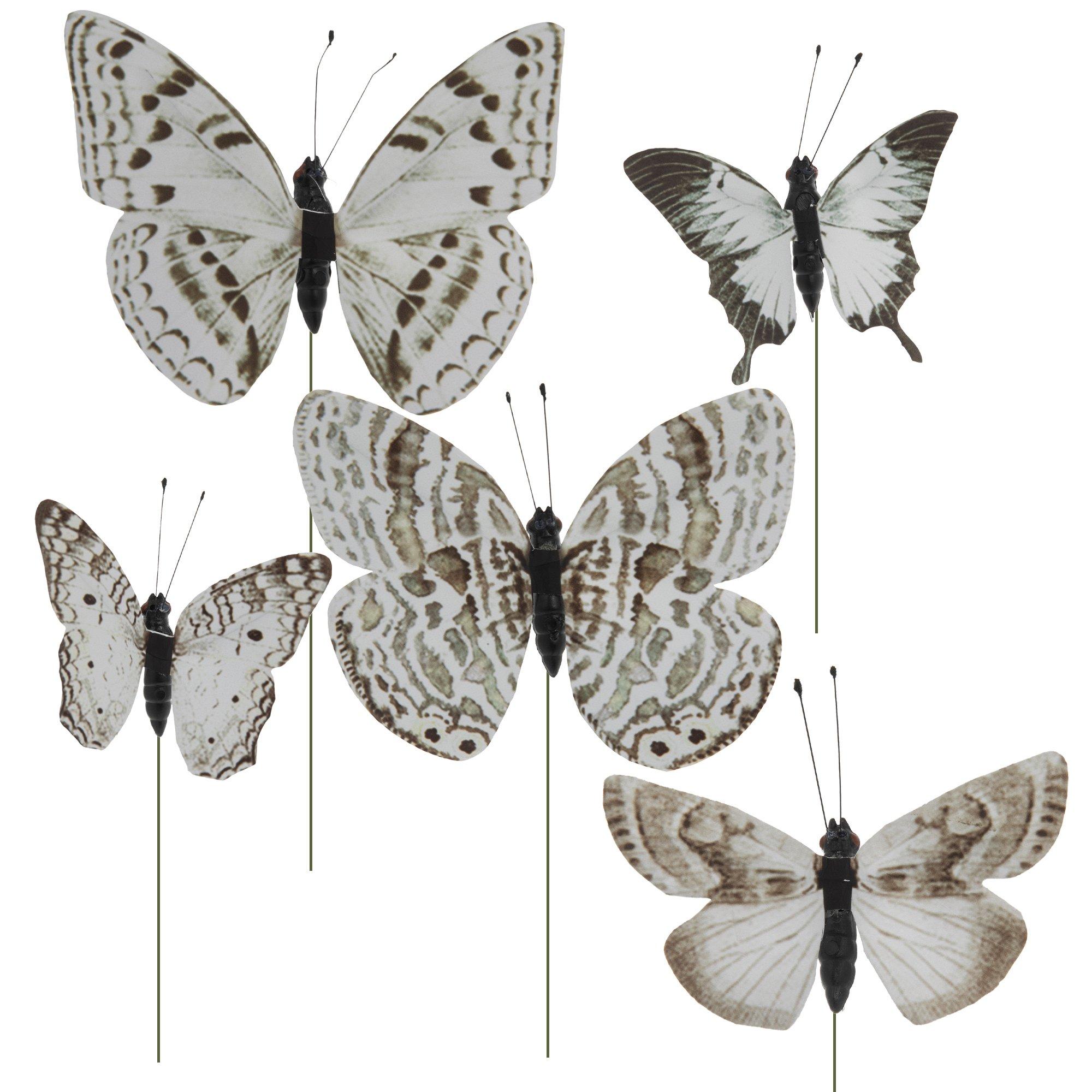 white butterflies ➽ 378 Original artworks, Limited Editions & Prints