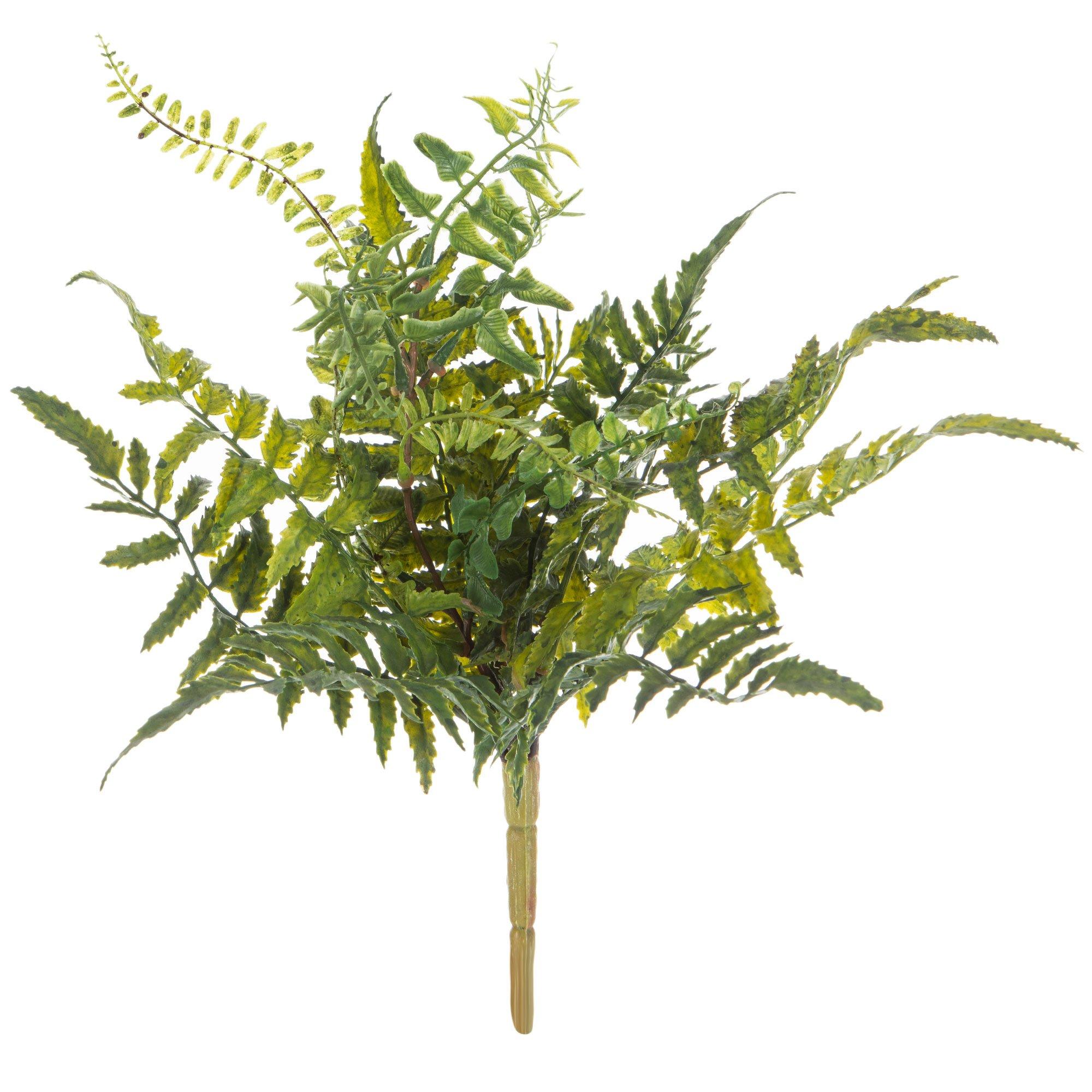 Fern Bush Hobby Lobby 1599786