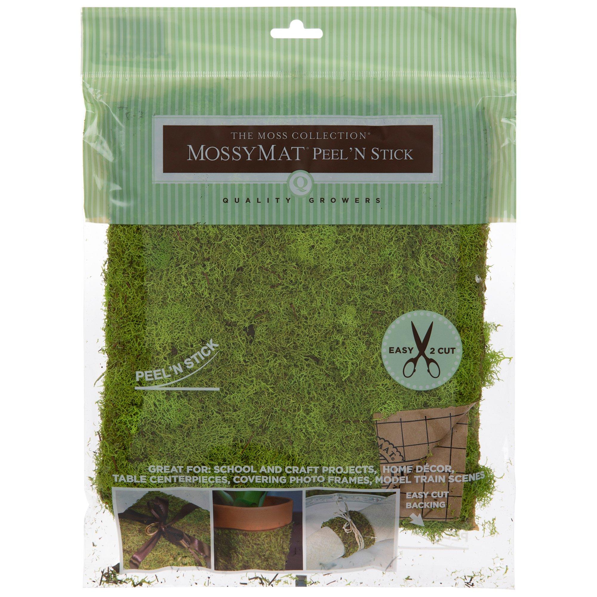 PeelNStick Reindeer Moss Mat Hobby Lobby 1611094