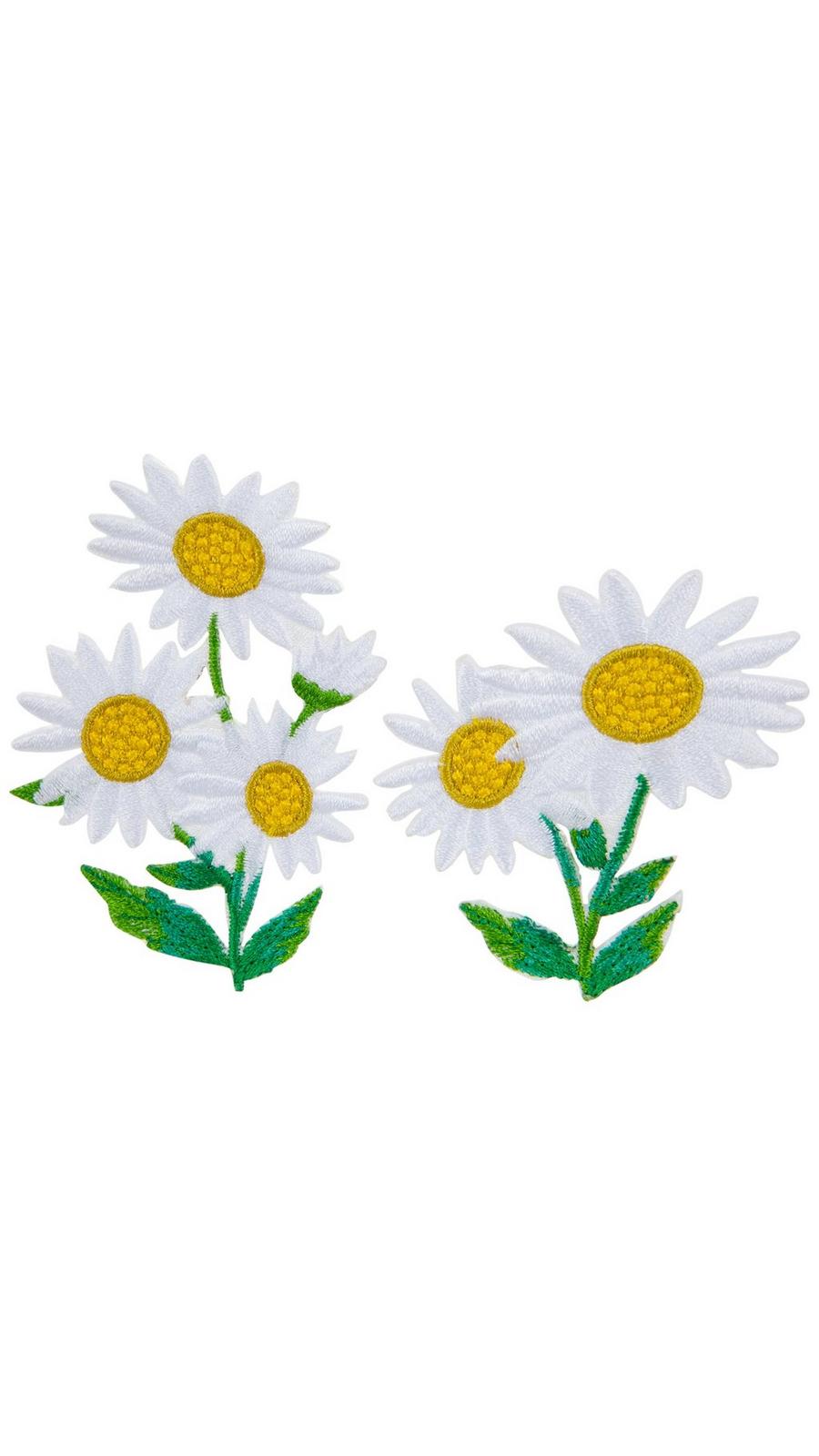 ★daisy★❤️ Lowe's Multicolor Painted Daisy Mix Plant in 2.5-Quart Pot
