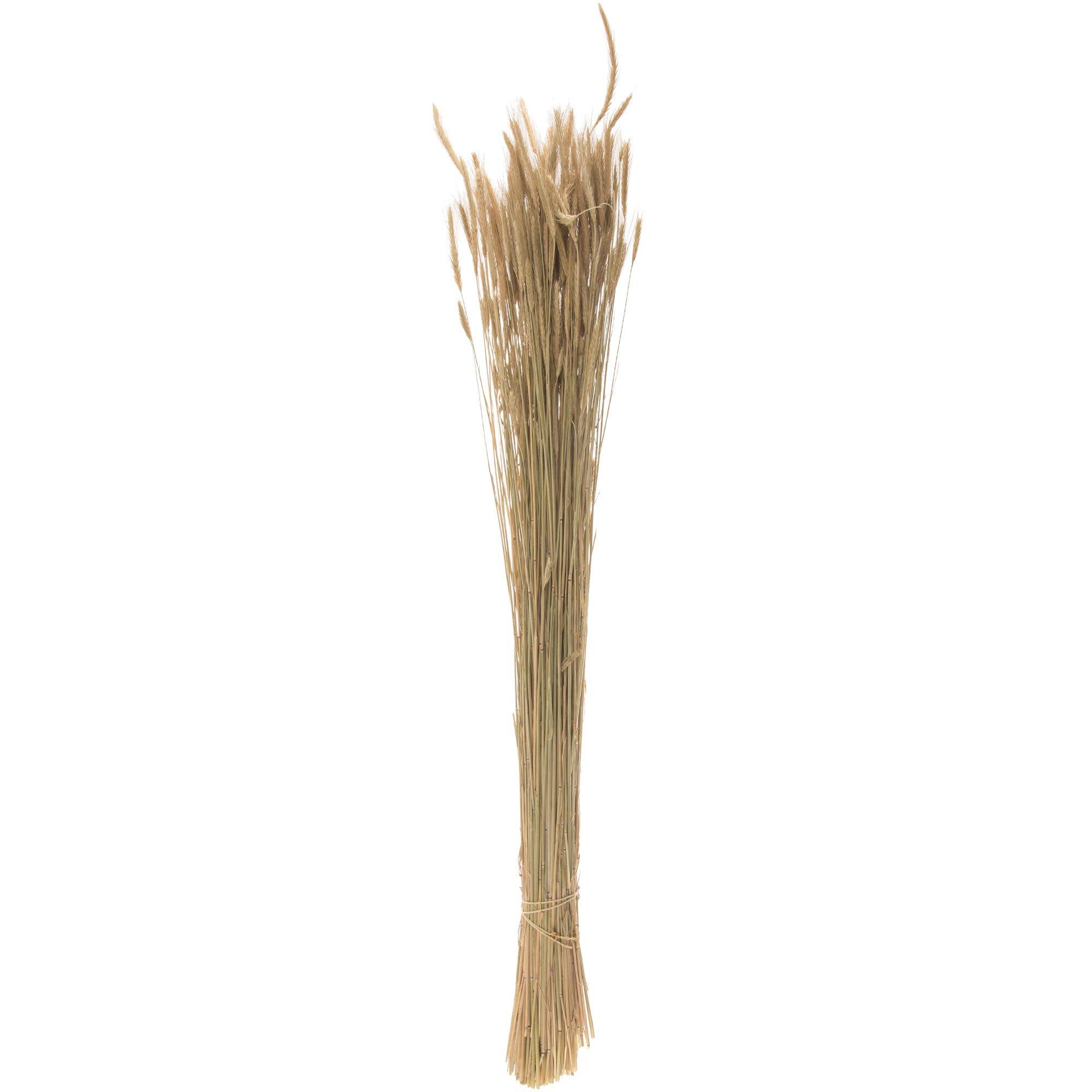 Selected Product Image
