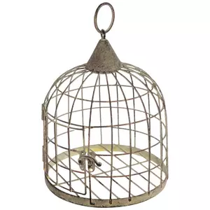 Distressed Metal Bird Cage
