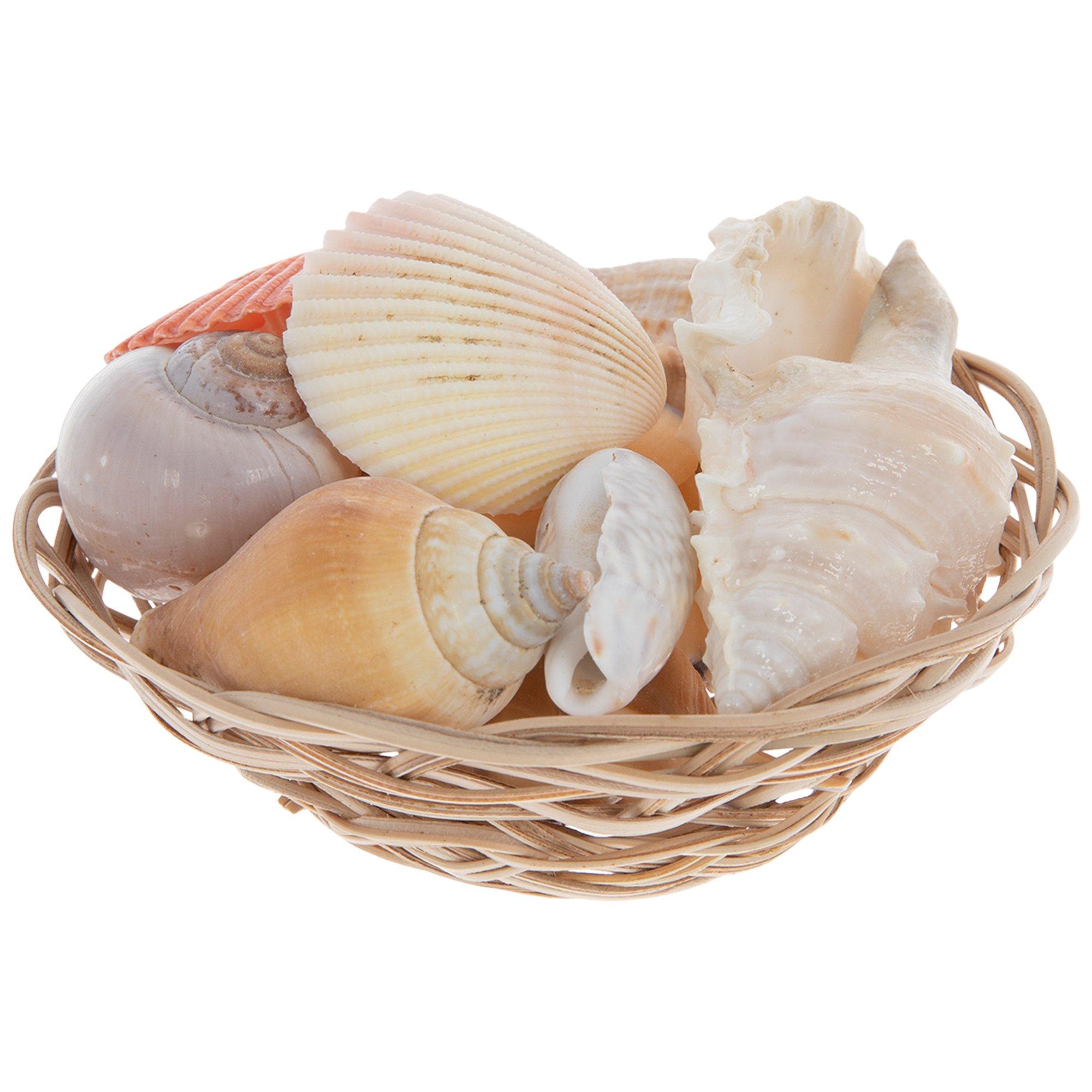 Seashells Basket Hobby Lobby 1639459