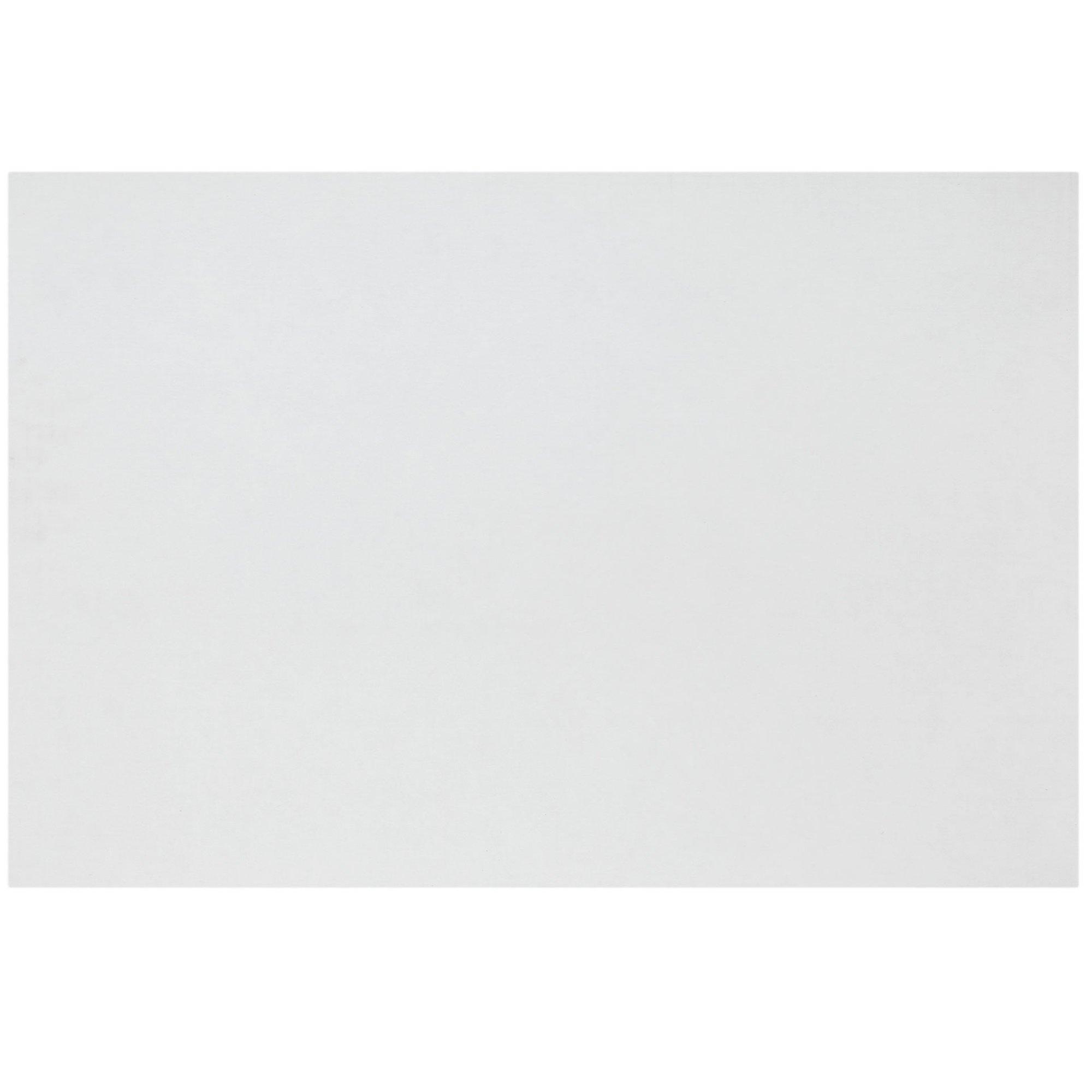 Double-Sided Poster Board - 22&quot; x 28&quot;