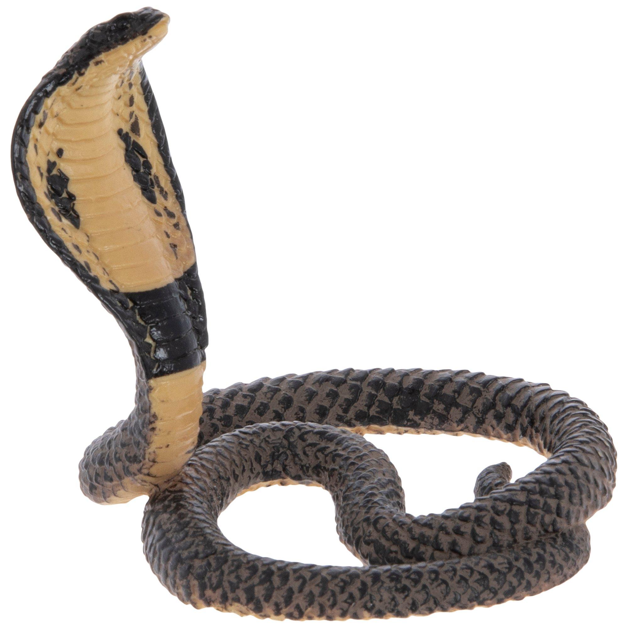 Forest cobra - Wikipedia