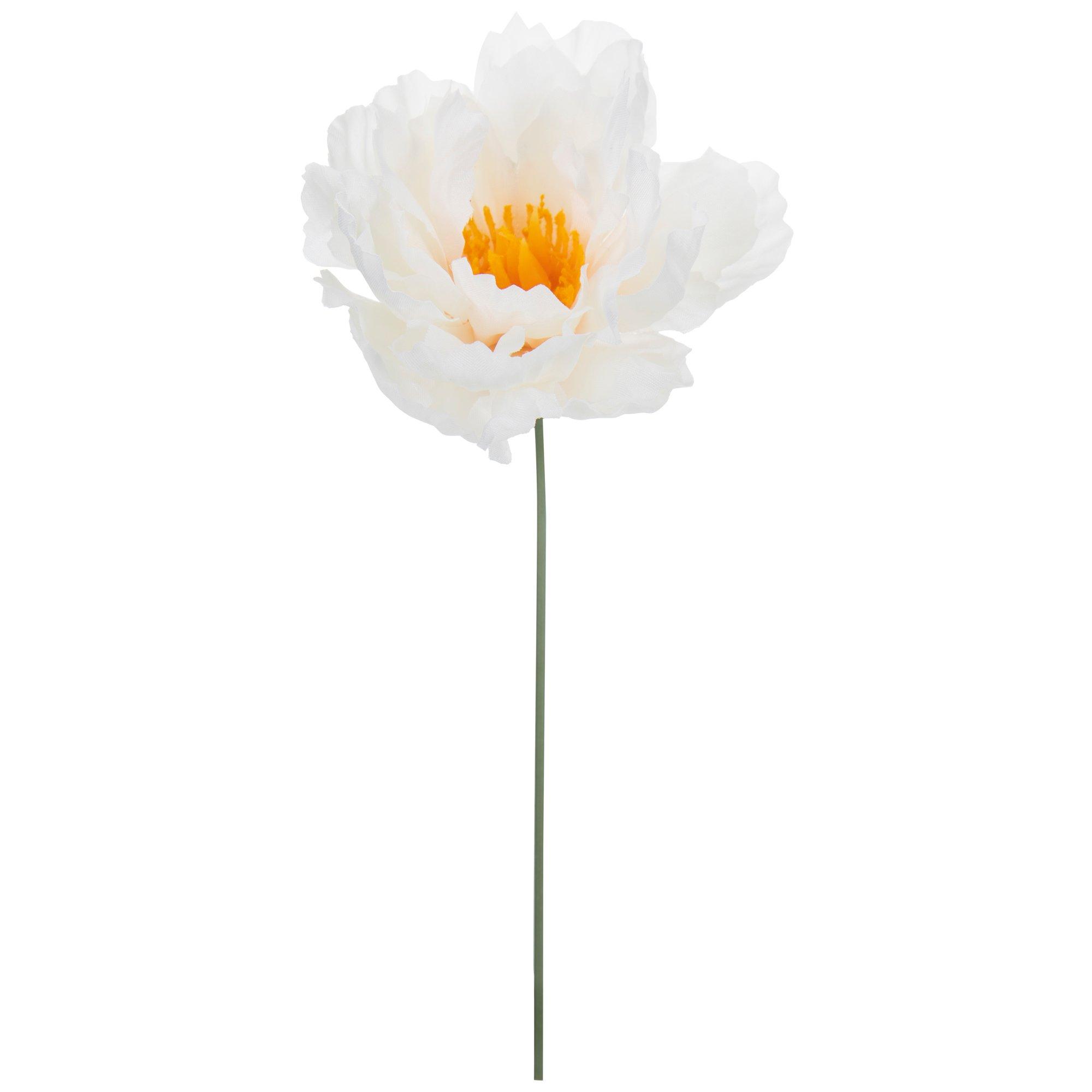 Peony Pick Hobby Lobby 1704725