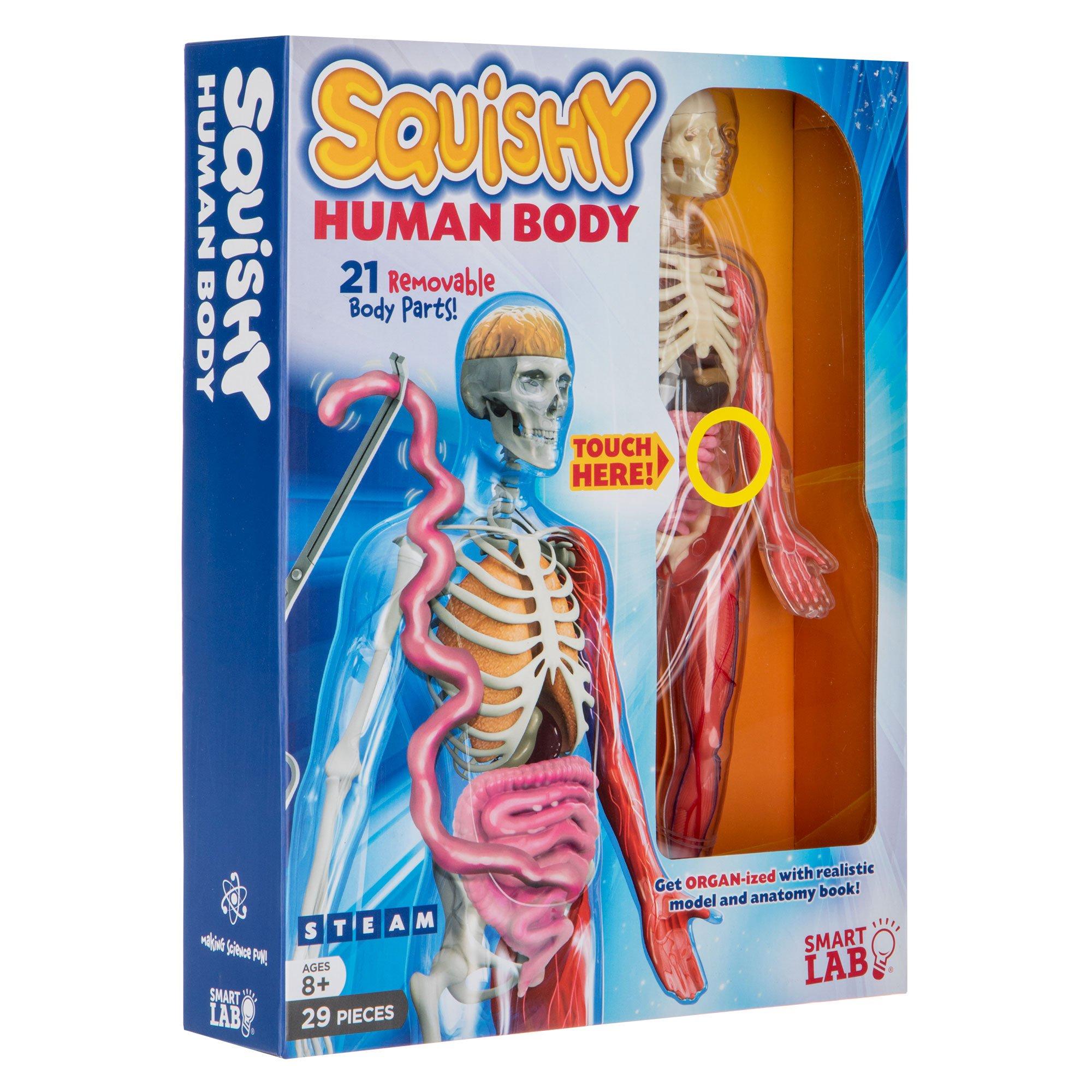 Squishy Human Body Kit | Hobby Lobby | 1707314