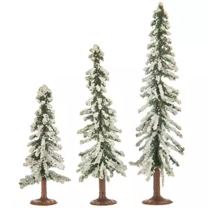 Snow Evergreen Trees