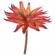 Red & Green Spiky Succulent Flower Pick