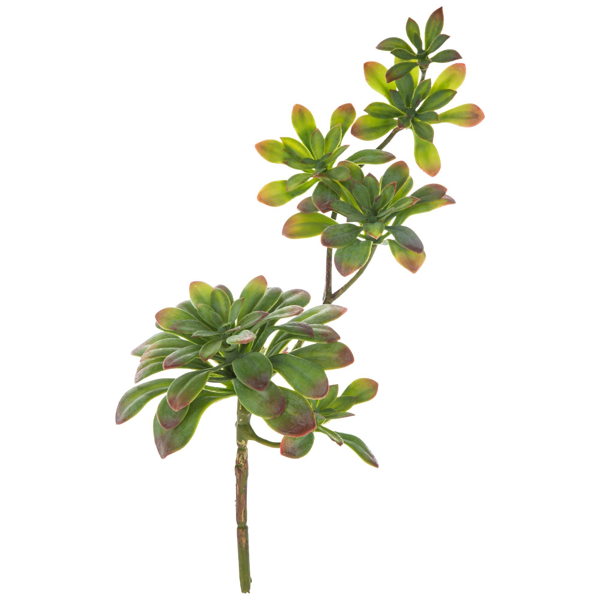 Trailing Echeveria Succulent Pick | Hobby Lobby | 1721513