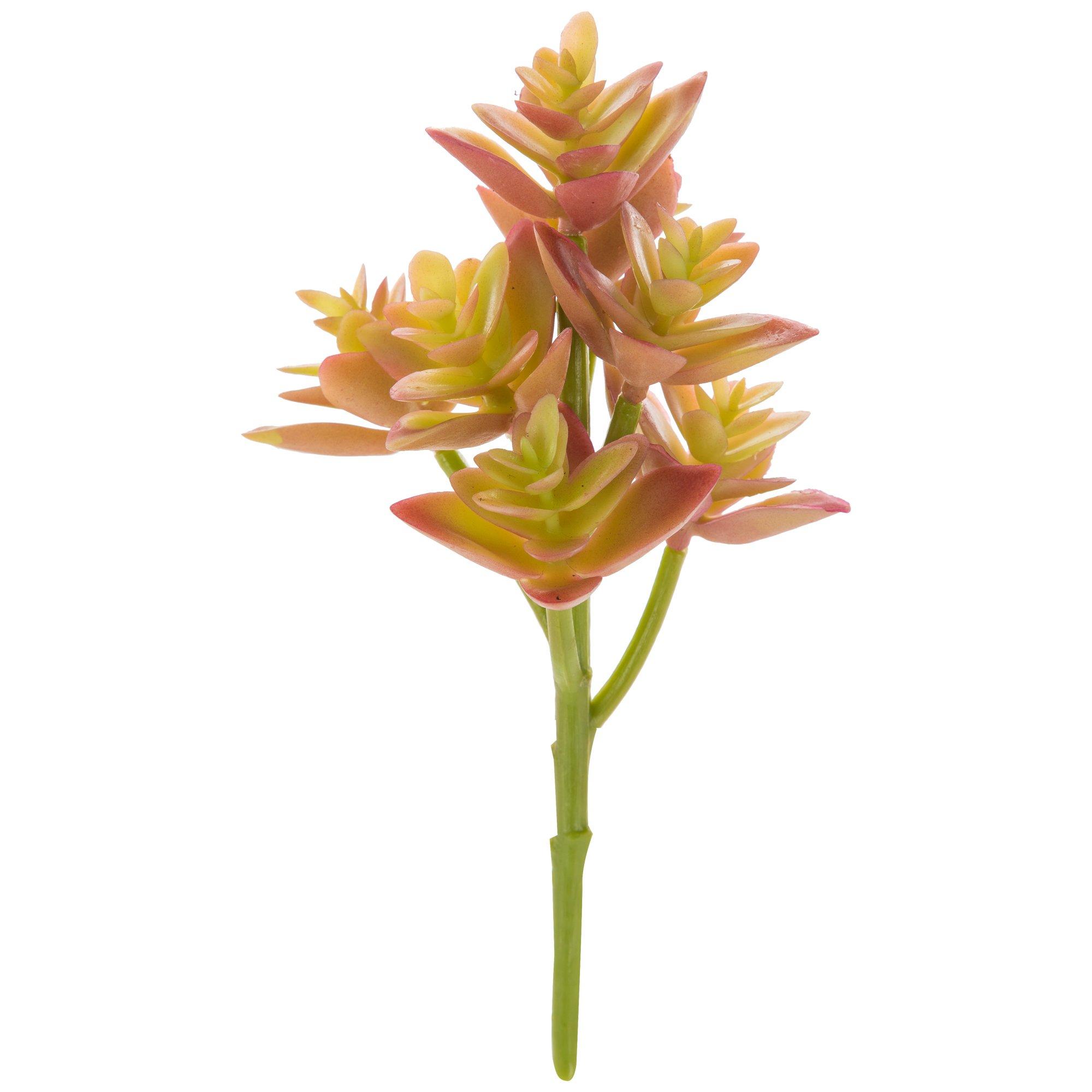 Graptosedium Succulent Pick | Hobby Lobby | 1721612