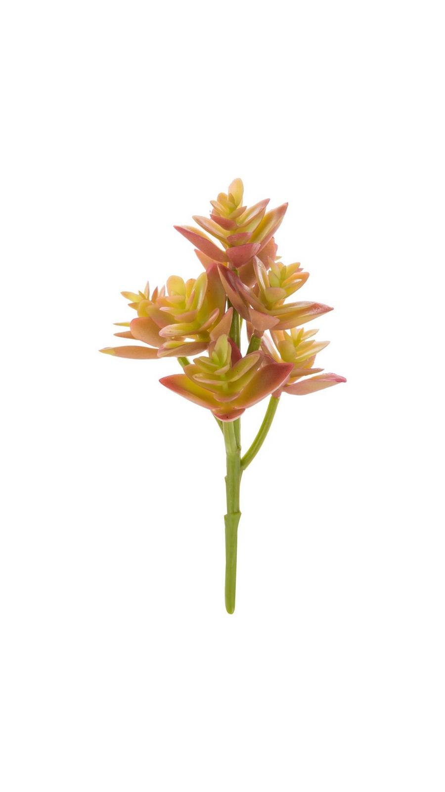 Graptosedium Succulent Pick | Hobby Lobby | 1721612