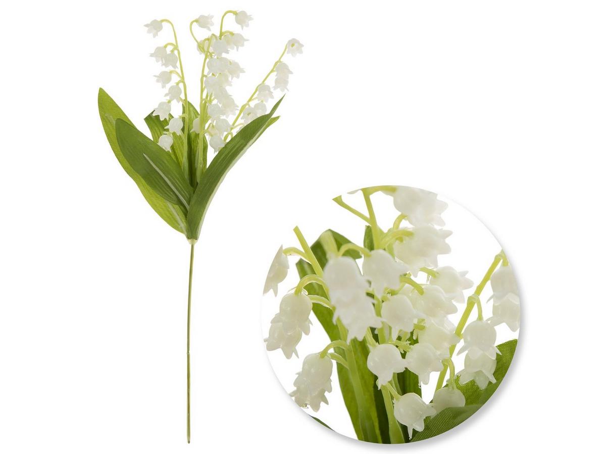 white monster monstera Monstera White Monster 4