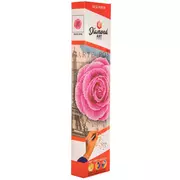 Rose Diamond Art Beginner Kit