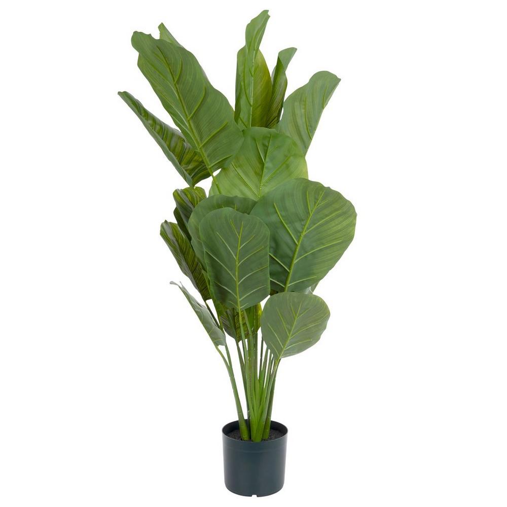 Calathea Potted Plant | Hobby Lobby | 1723568