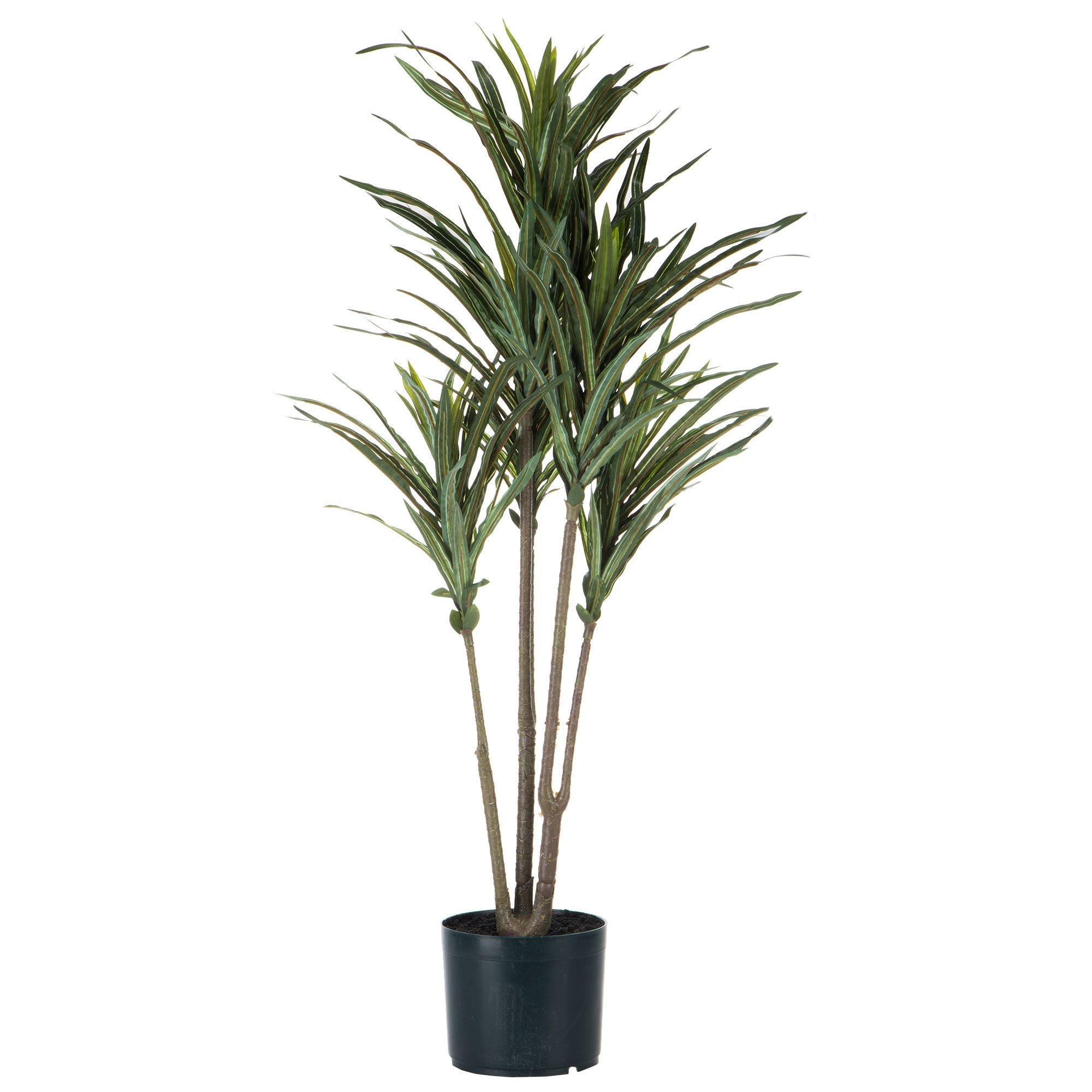 plant food for indoor plants Indoor Plant main image 1