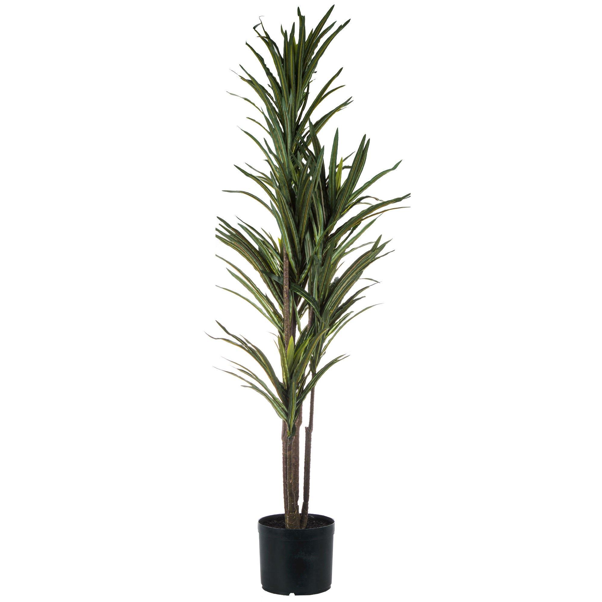 Potted Dracaena Hobby Lobby 1723592