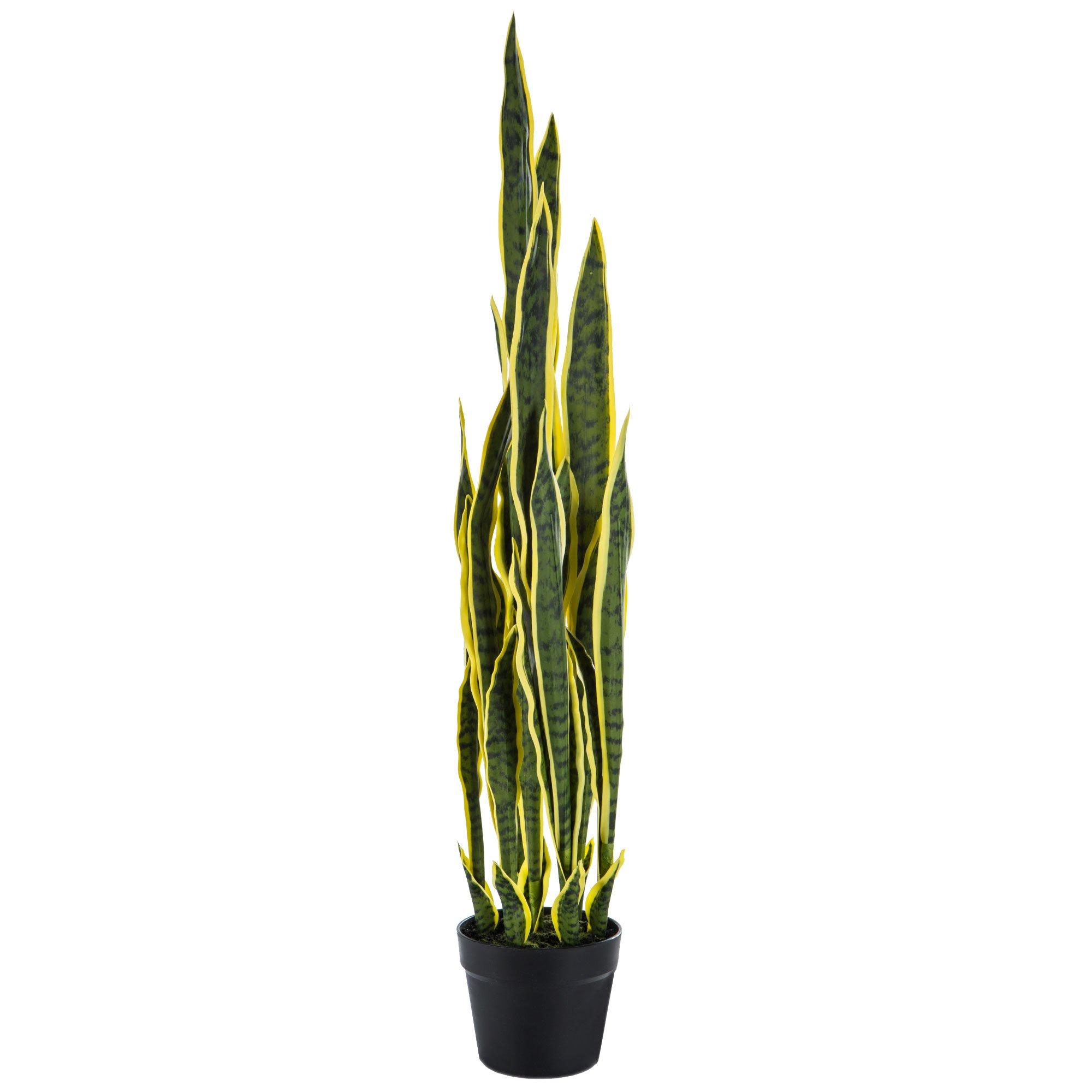 Potted Sansevieria Plant, Hobby Lobby