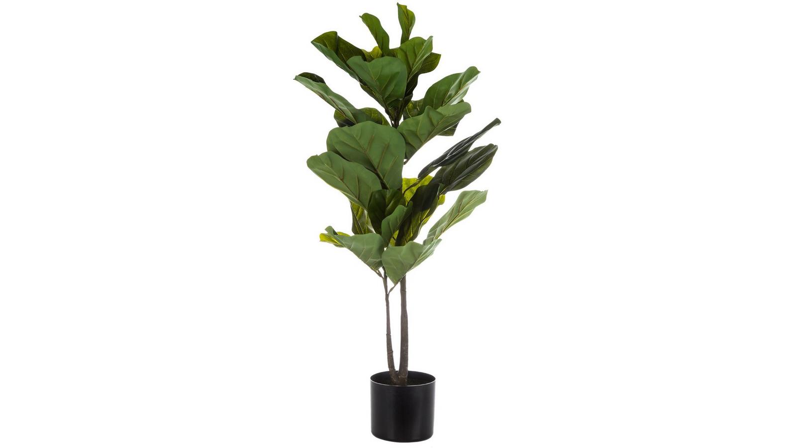 Potted Fiddle-Leaf Fig Tree | Hobby Lobby | 1723758