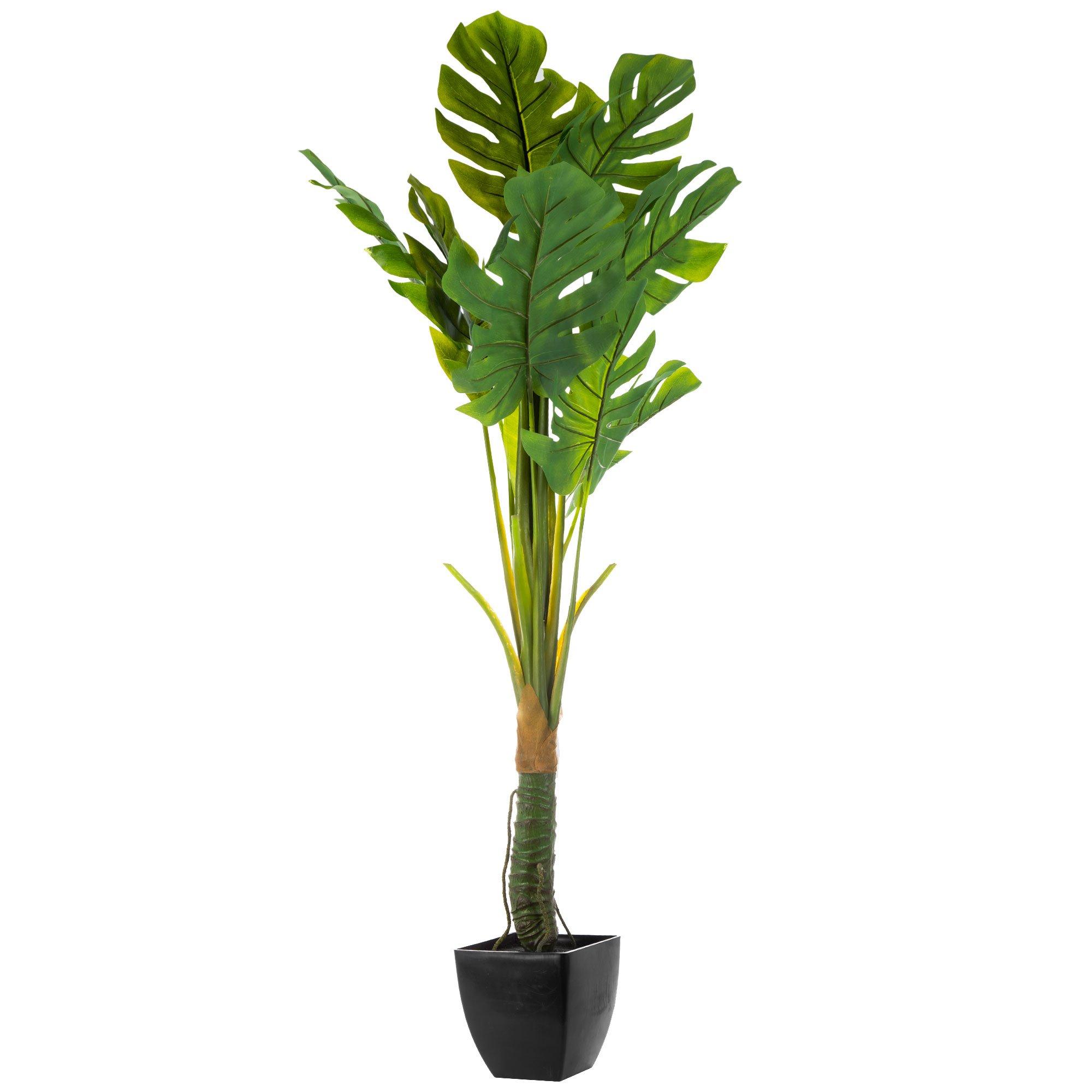 Selected Product Image