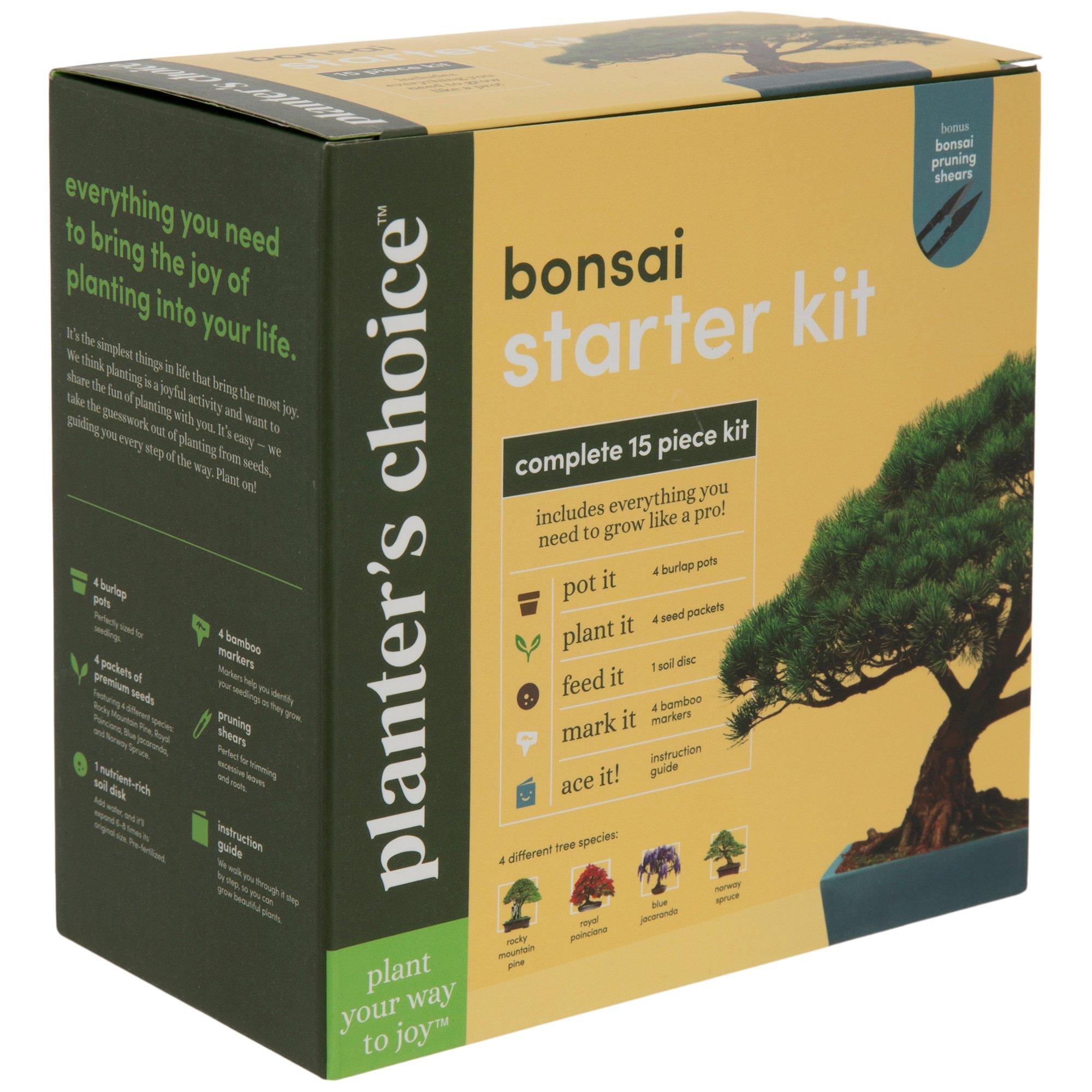 Bonsai Tree Starter Kit | Hobby Lobby | 1725498
