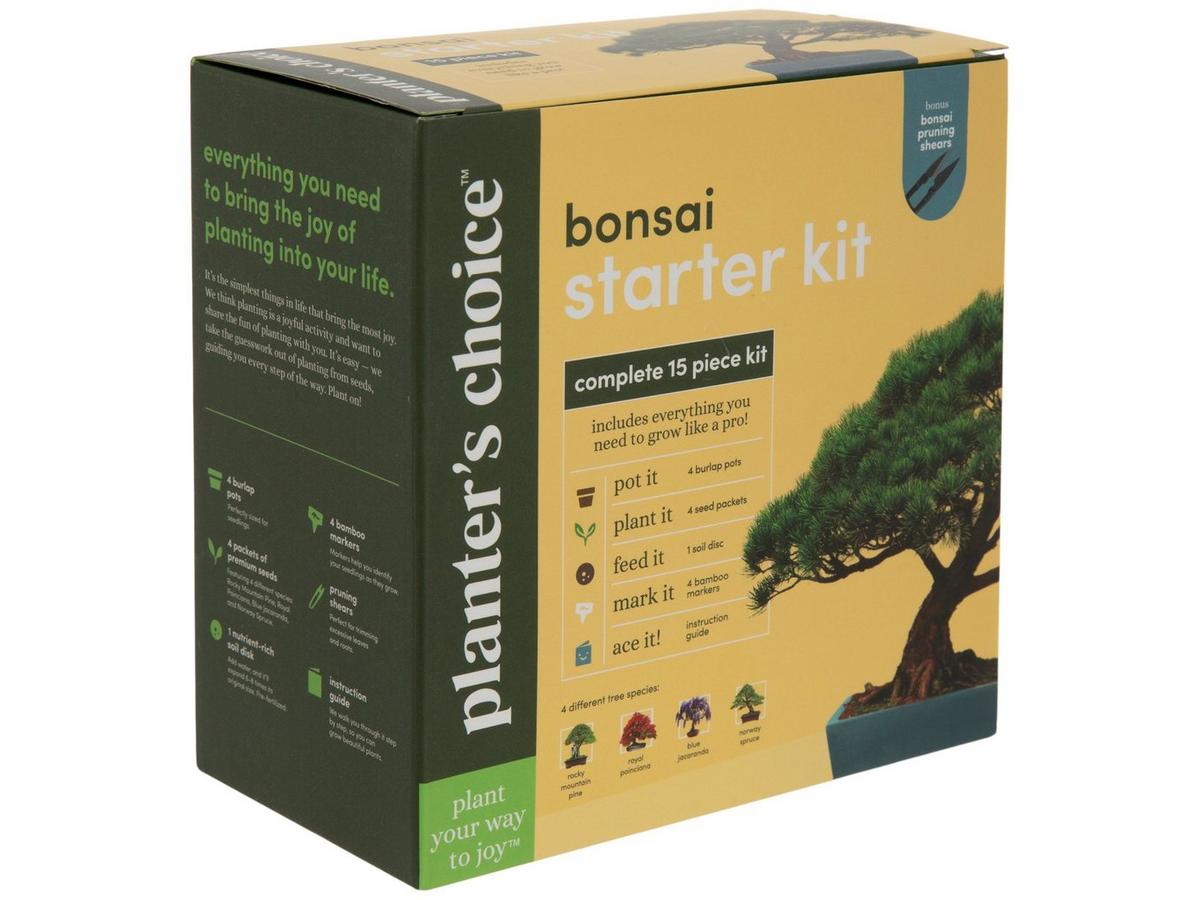 Bonsai Tree Starter Kit | Hobby Lobby | 1725498