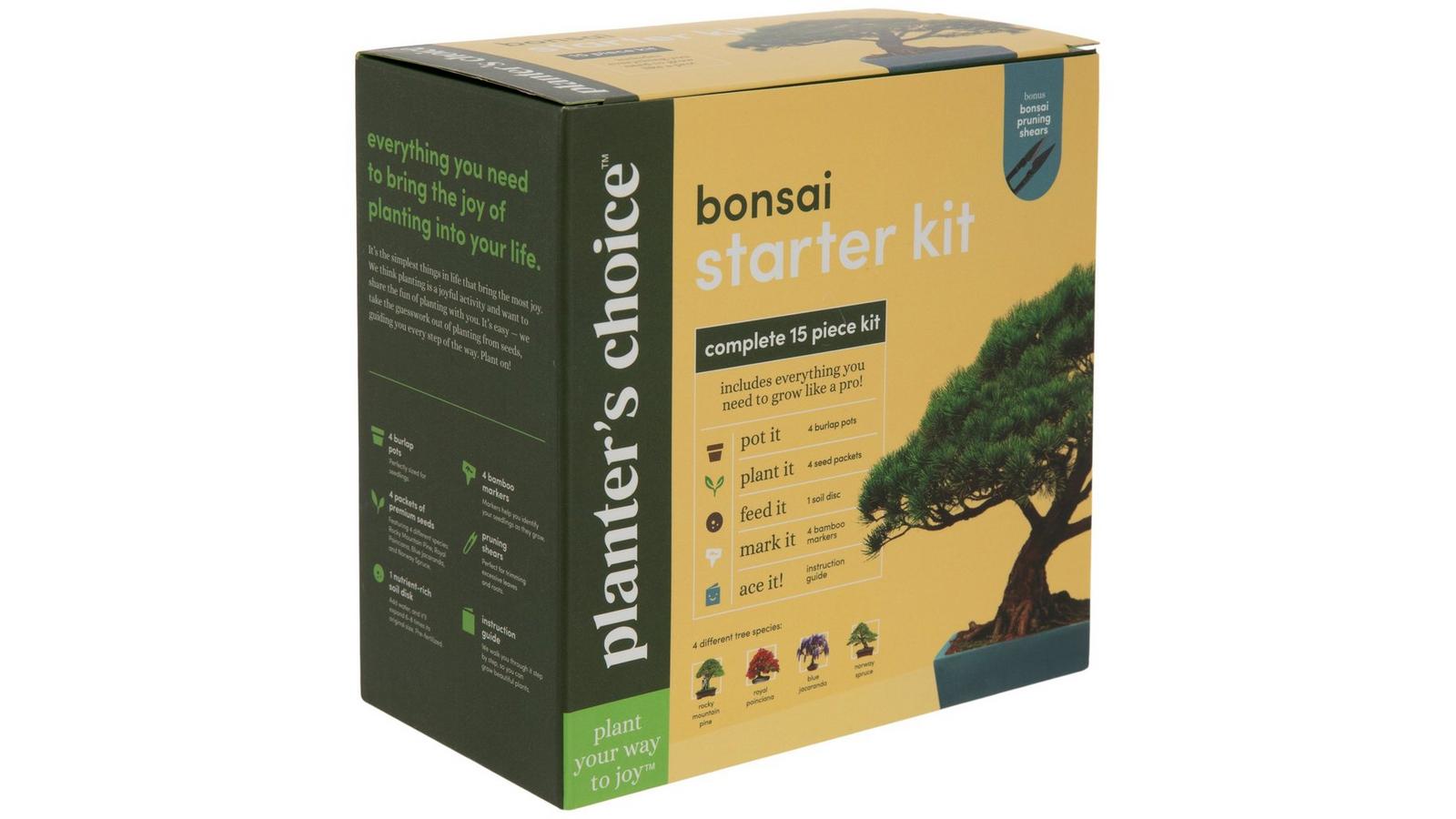 Bonsai Tree Starter Kit | Hobby Lobby | 1725498